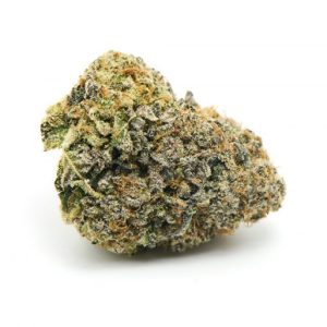 Forbidden Runtz Cannabis Strain