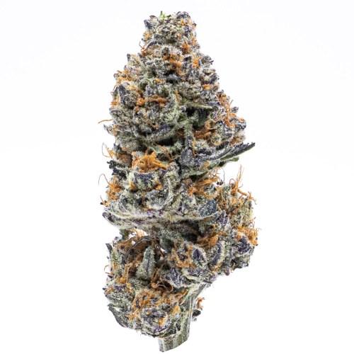 Northern Lights Weed Strain