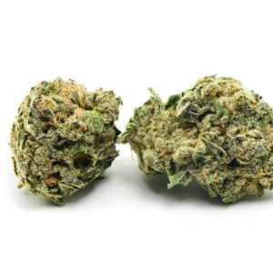 Tom Ford Pink Kush Marijuana Strain