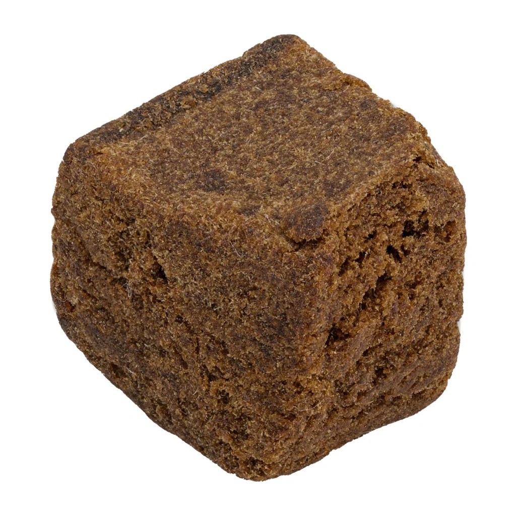 BARBARA HASHISH