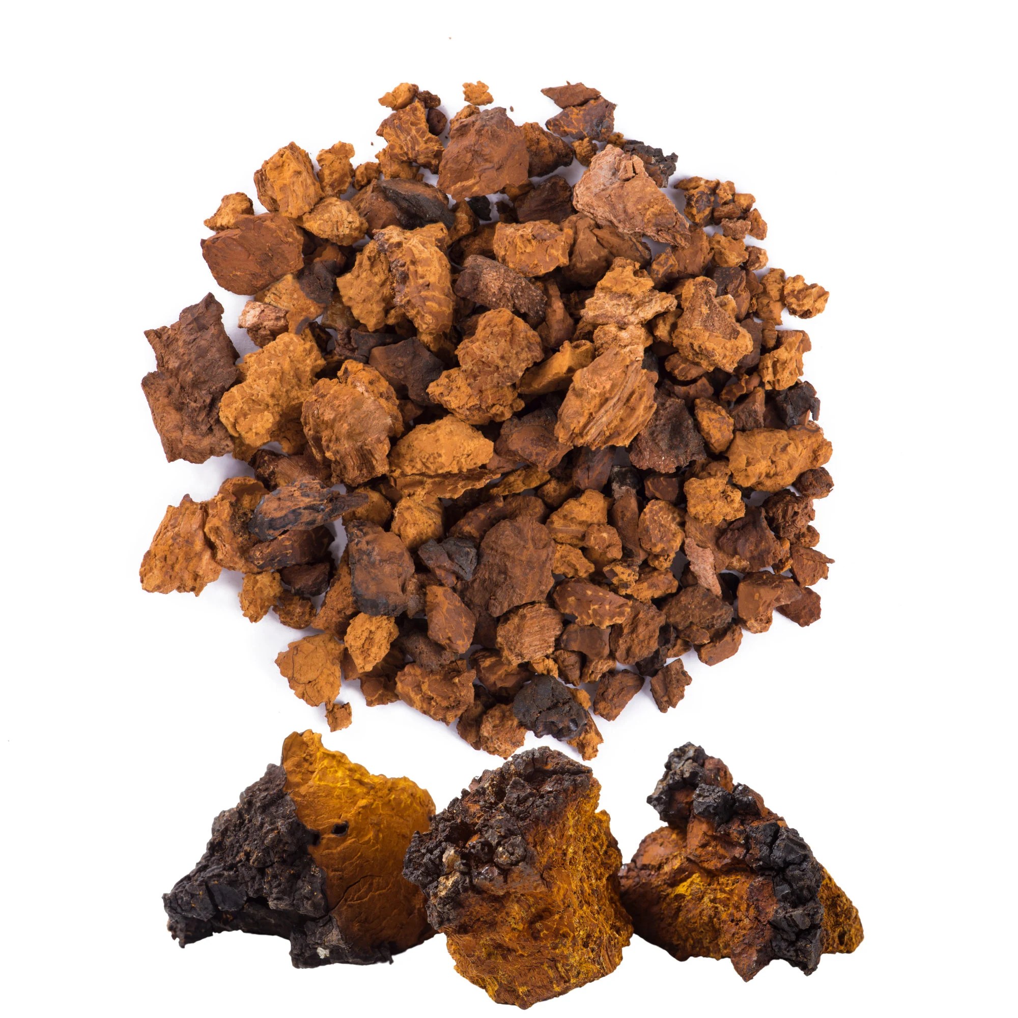 CHAGA DRIED MUSHROOM ONLINE
