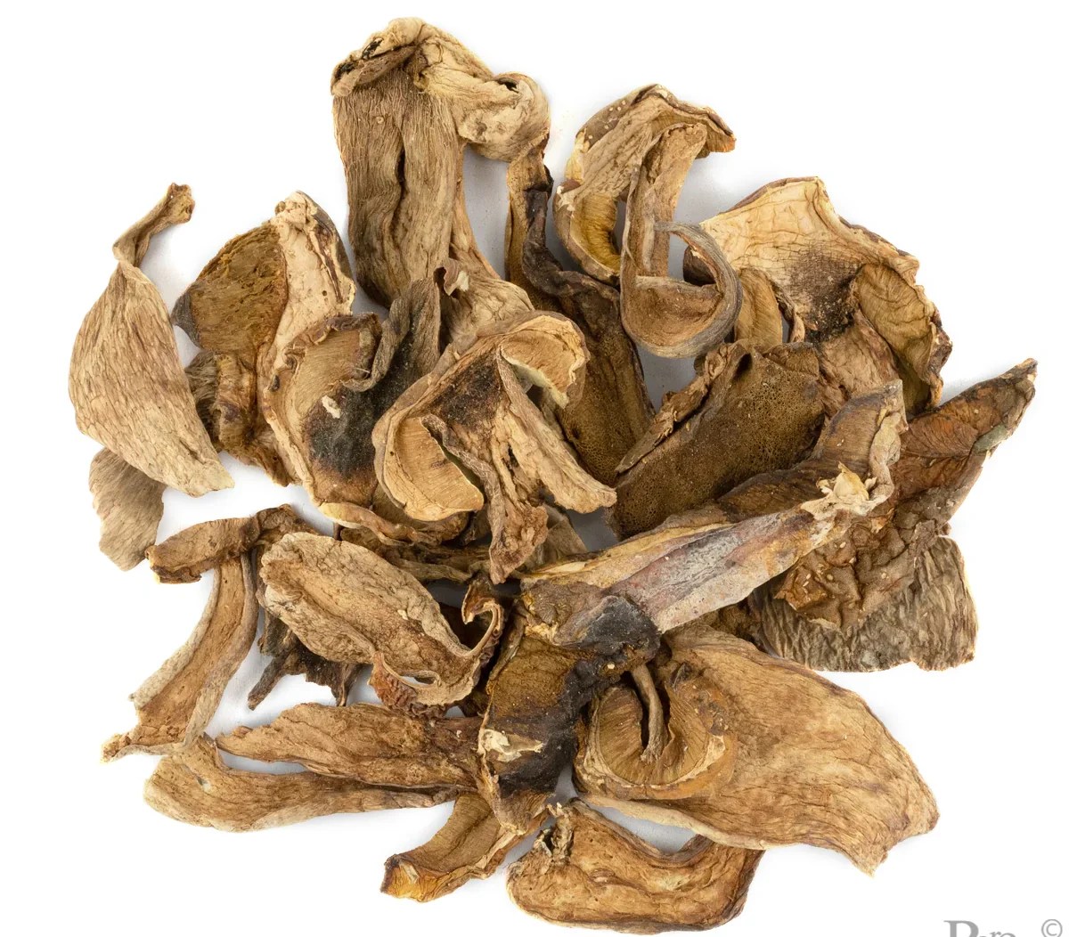 PORCINI DRIED MUSHROOM